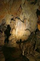 Cjp_2018_03_27_073924_01 (2).jpg